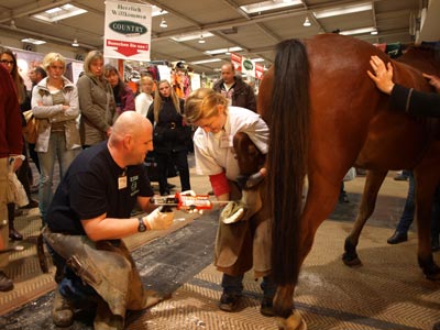 Messe Pferd und Jagd Hannover