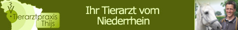 Tierarztpraxis Thijs